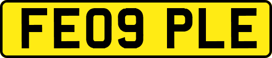 FE09PLE