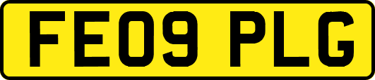 FE09PLG