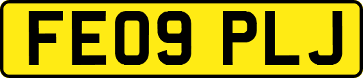 FE09PLJ
