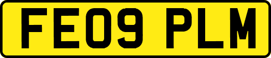 FE09PLM