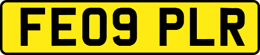 FE09PLR