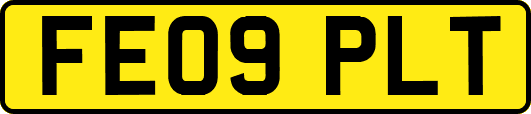 FE09PLT