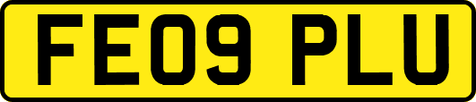 FE09PLU