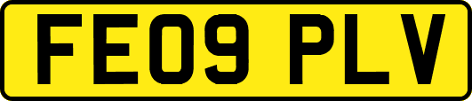 FE09PLV