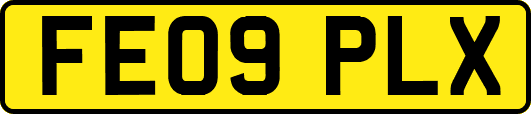 FE09PLX