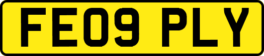 FE09PLY