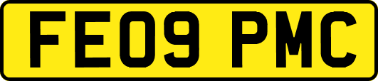 FE09PMC