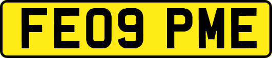 FE09PME