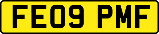 FE09PMF