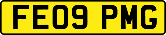 FE09PMG