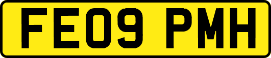 FE09PMH