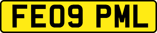 FE09PML