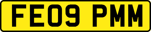 FE09PMM
