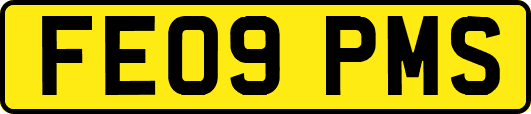 FE09PMS