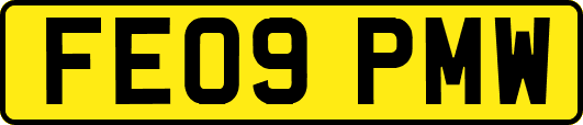 FE09PMW