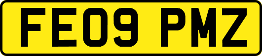 FE09PMZ