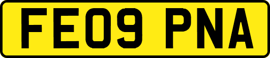 FE09PNA