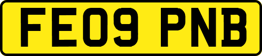 FE09PNB
