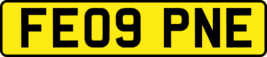 FE09PNE