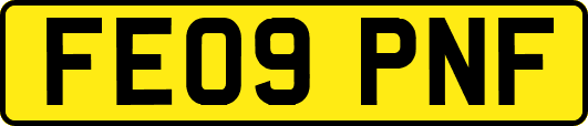 FE09PNF