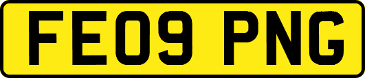 FE09PNG
