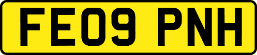 FE09PNH