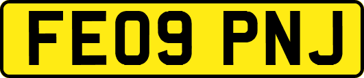 FE09PNJ