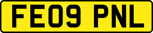 FE09PNL