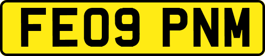 FE09PNM