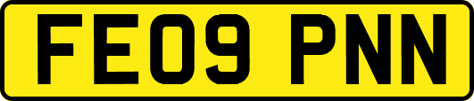 FE09PNN