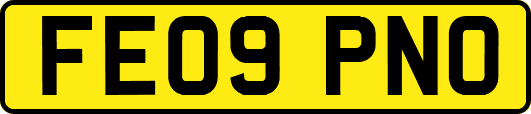 FE09PNO