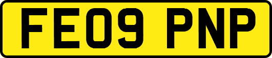 FE09PNP