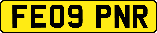 FE09PNR