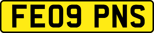 FE09PNS