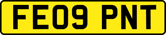 FE09PNT
