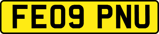 FE09PNU