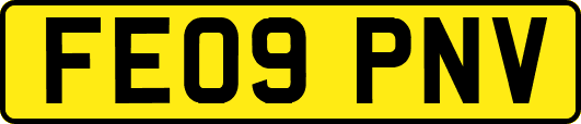 FE09PNV