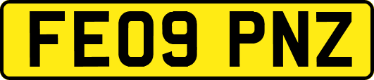FE09PNZ