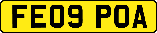 FE09POA