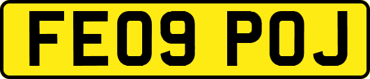 FE09POJ
