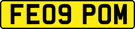 FE09POM