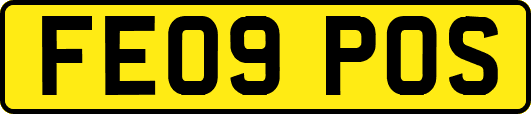 FE09POS