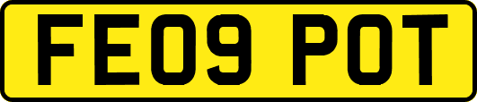 FE09POT