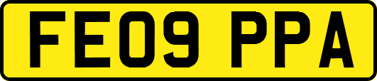 FE09PPA