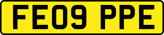 FE09PPE