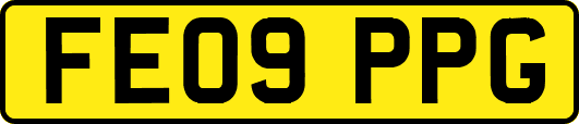 FE09PPG