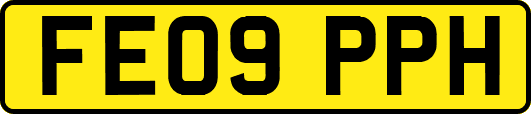 FE09PPH