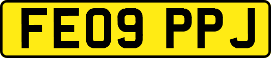 FE09PPJ