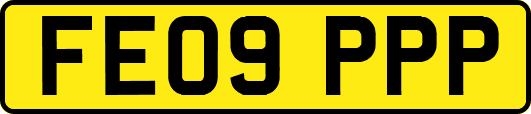 FE09PPP