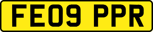 FE09PPR
